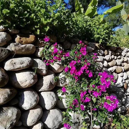 Porto Ceneviz Gasthuis Çıralı