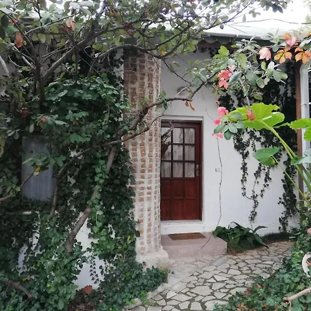 Porto Ceneviz Gasthuis Çıralı