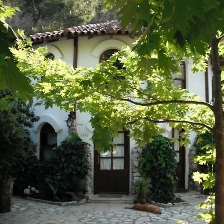 Porto Ceneviz Çıralı